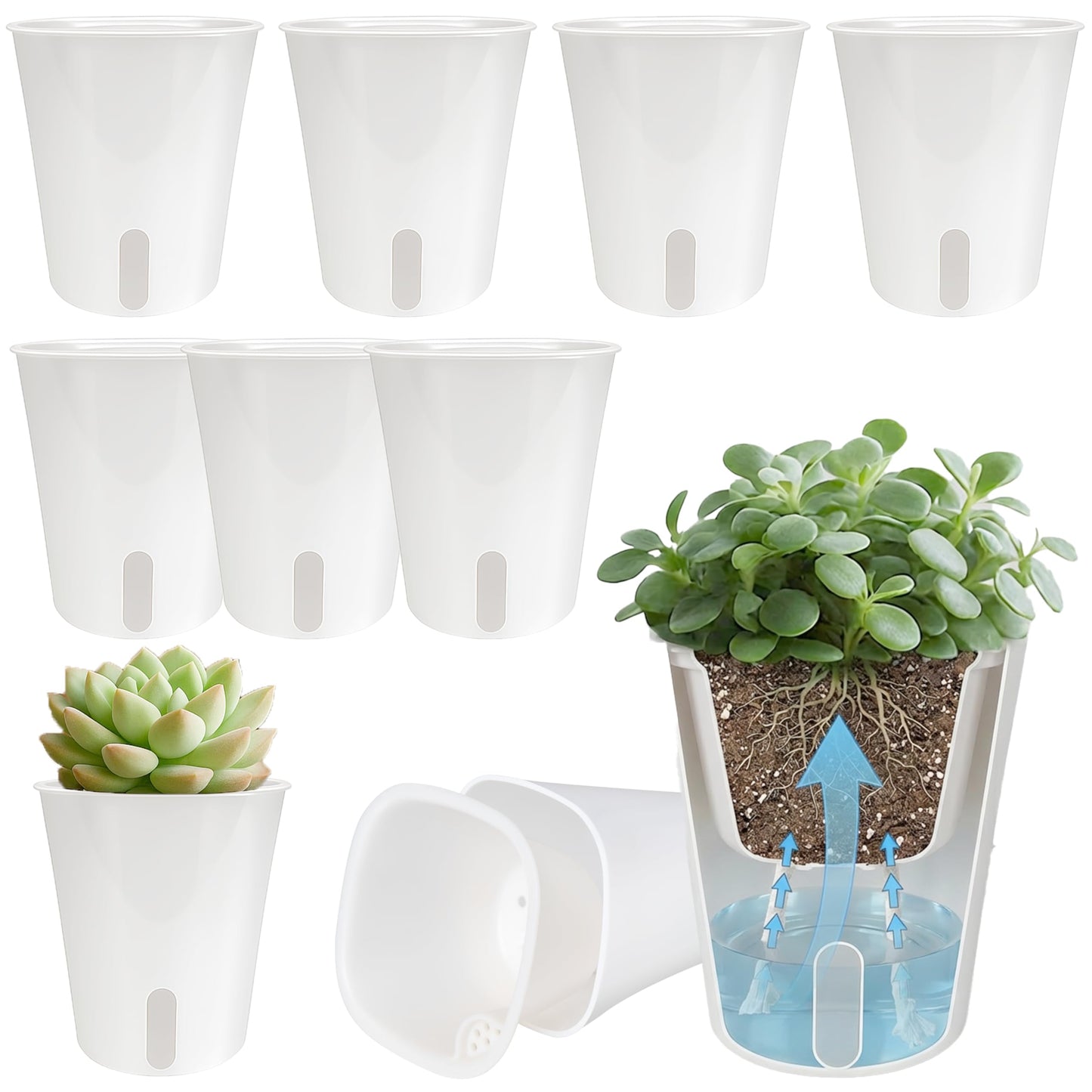 FYRIXONE 10 Pack 3 Inch Self Watering Pots for Indoor Plants, White Plastic Planters with Water Level Indicator, Drainage Holes & Wick, Small Plant Pots for Cuttings, Seedlings, Herbs, African Violets