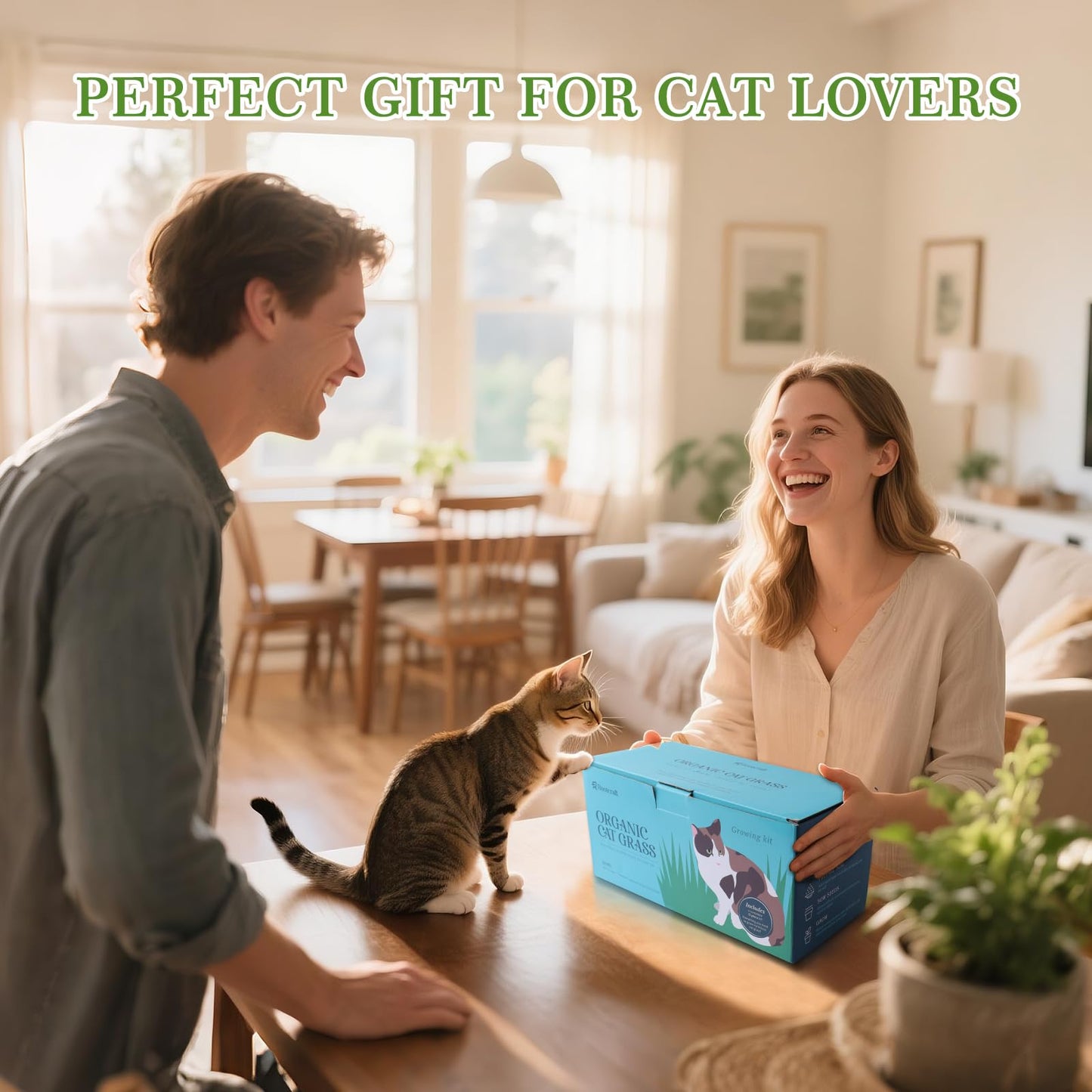 5-Pack Cat Grass Kit for Indoor Cats with Wood Planter, Grow Organic Non-GMO Wheat Grass in 4-7 Days, Aids Digestion & Hairball Control, Ideal Birthday Gift for Cat Lovers