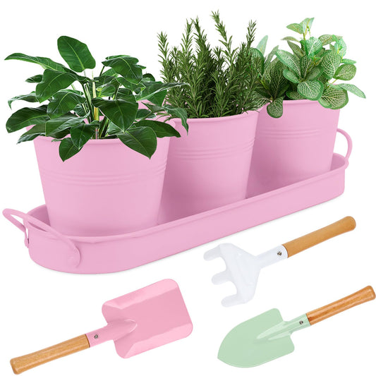 Linzenter Indoor Herb Garden Set of 3 with Tray and 3 Types of Gardening Tools, Metal Plant Pots Herb Garden Planter Kit with Drainage for Plants (Pink)