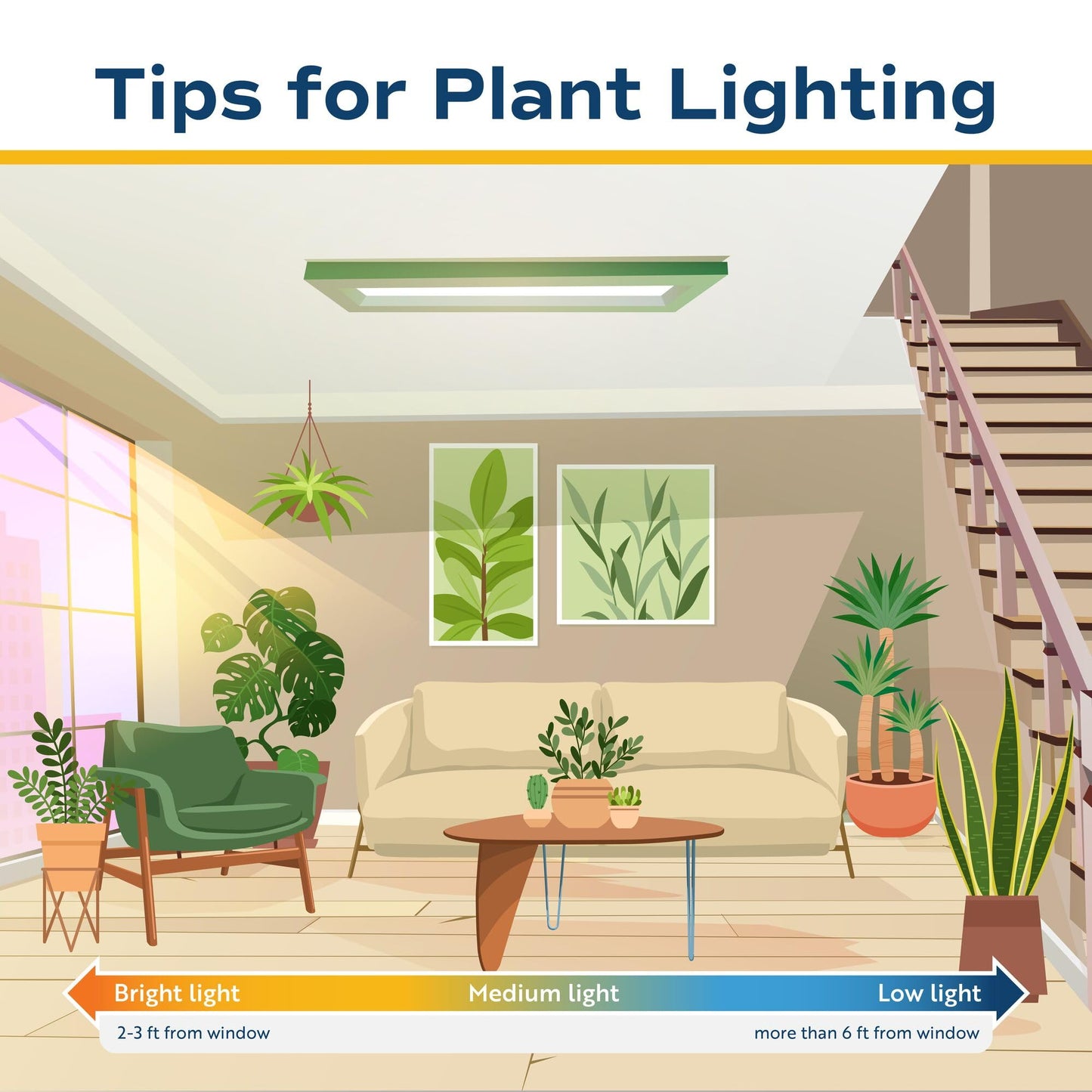 Costa Farms Fiddle Leaf Fig, Live Indoor Ficus Lyrata House Plant Potted in Modern Decor Planter, Floor Plant in Potting Soil Mix, Housewarming Gift, Room, Home, Office Decor, 2-3 Feet Tall