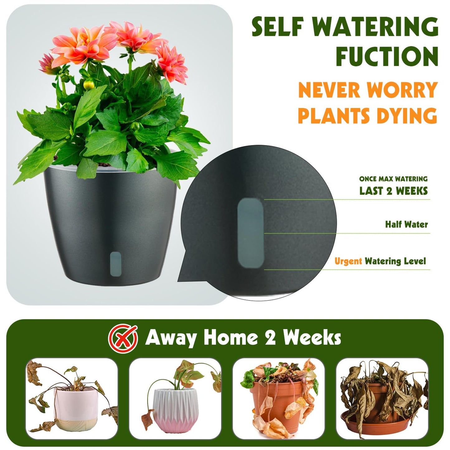 KvyusFlourish Self Watering Pots for Indoor Plants, 6-Pack 5'' Self Watering Planter with Drainage Holes, Small African Violet Pots with Water Indicator, Clear Wick Orchid Pot, Grey Gold