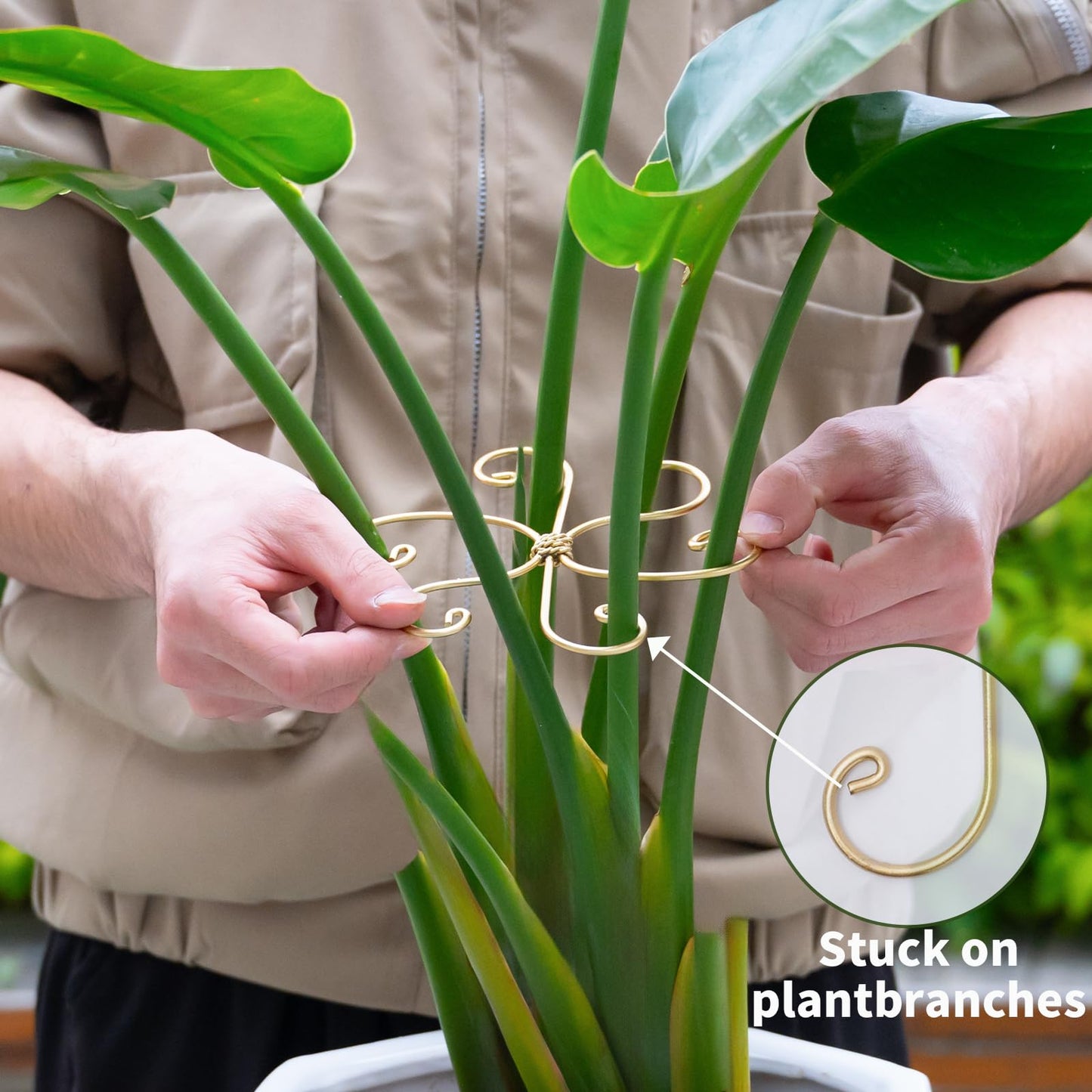 GOOOXIM 5PCS Monstera Plant Stem Support Hook - 6.5 * 6.5IN Durable Metal Stem Stabilizer for Monstera Plants and Fishbone Cactus - Gentle Protection Leaf Holder - Easy Installation - 5 Piece Set