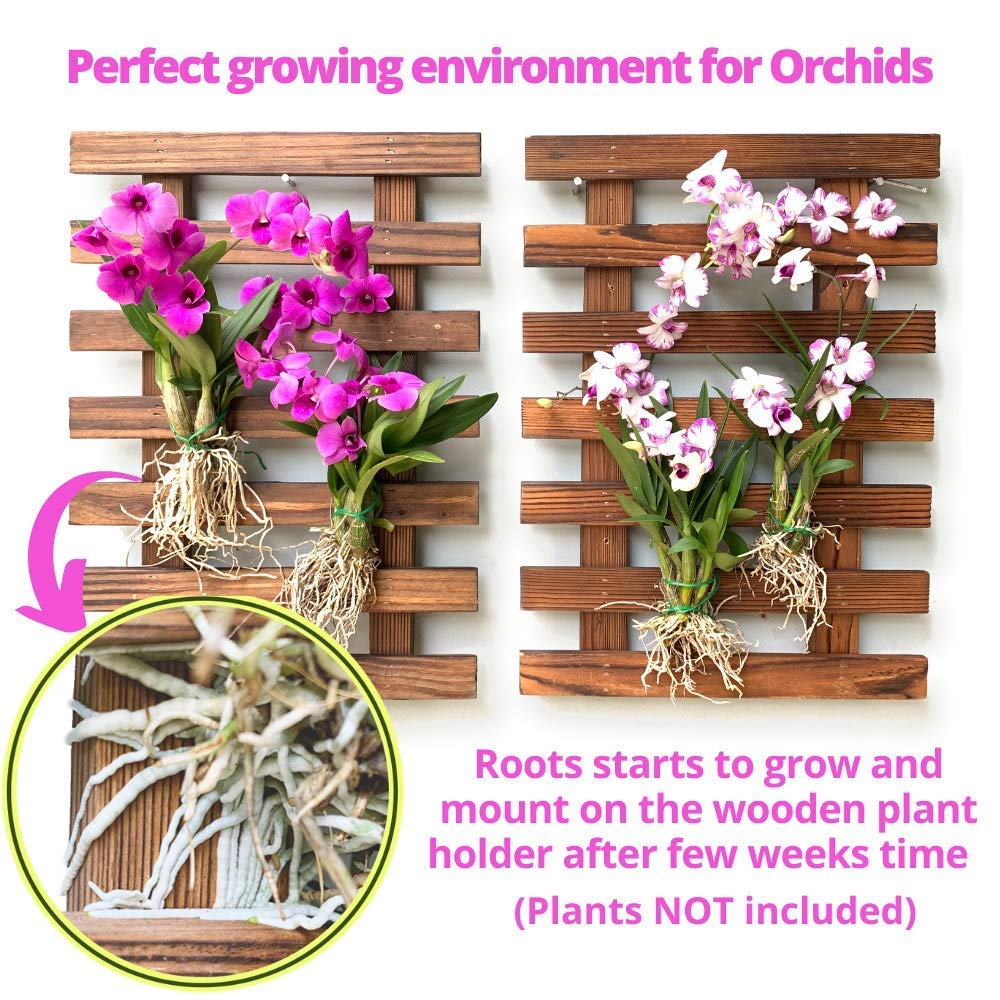 ShopLaLa Wall Planters - 4 Pack Wooden Hanging Planter for Indoor Outdoor Plants, Air Plant Succulent Orchid Holder, Live Vertical Garden Wall Mounted Plant Stand, Wall Christmas Decor 15.7" (40cm)