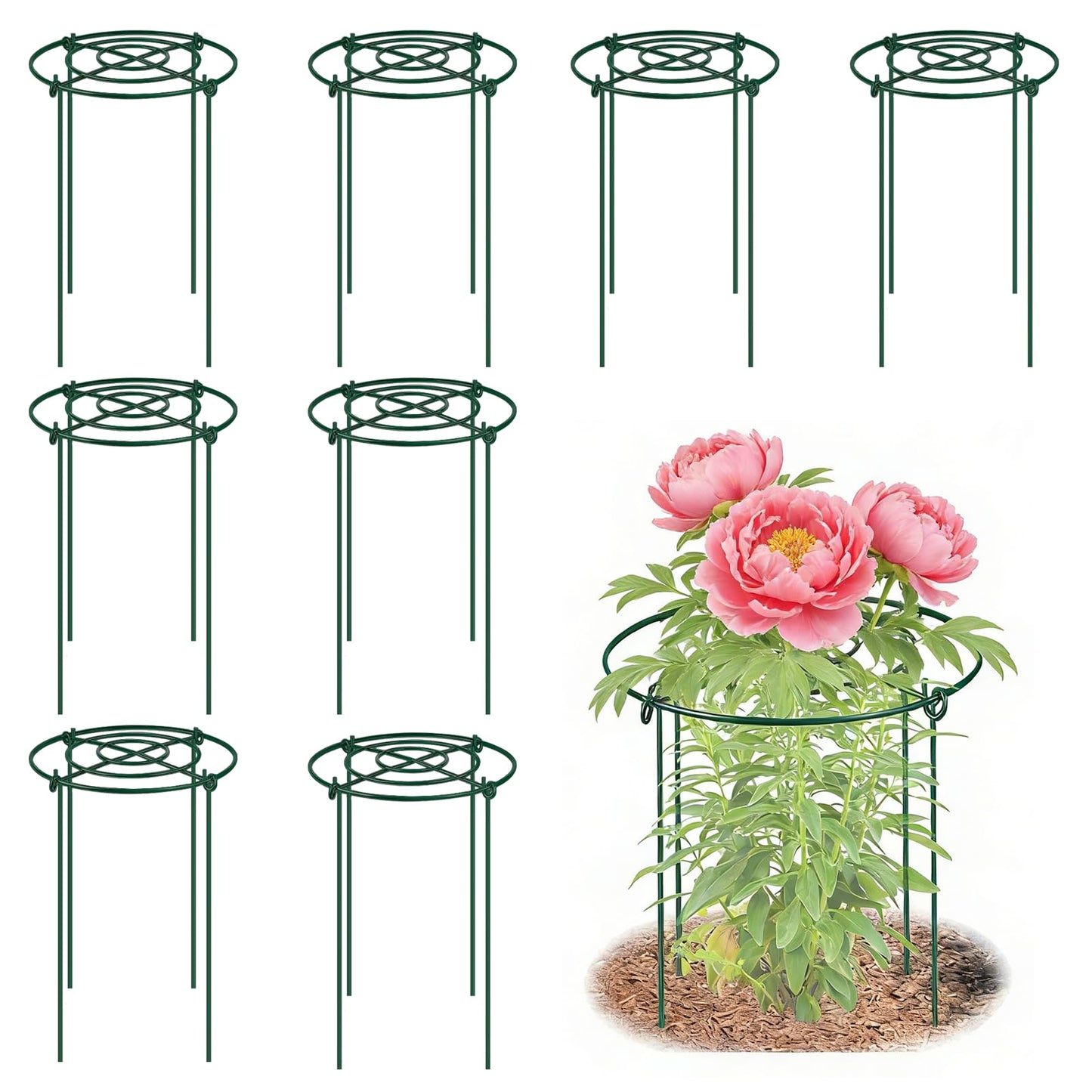 DAYUMKOU 8 Pack Peony Cages and Supports, 14" D x 24" H Plant Supports for Outdoor Plants, Heavy Duty Metal Peony Support Cage Flower Support Rings for Rose Hydrangea Strawberry