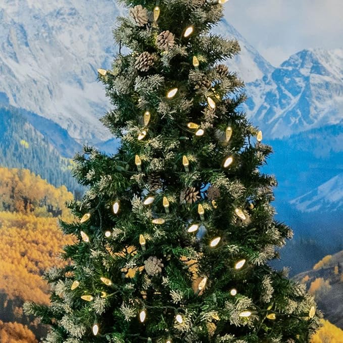 Novelty Lights 24FT 70 LED C6 Christmas String Lights, Outdoor Tree Commercial Grade LED Lights, Permanent Christmas Decorations (Warm White)