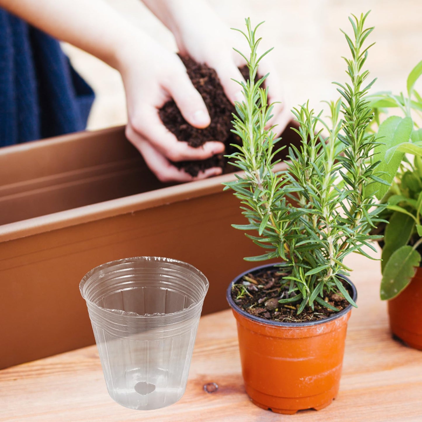 KALLORY 50pcs Plastic Nursery Pots for Plants 2.5 Inch Breathable Seedling Planting Pots with Drainage Suitable for Orchids Succulents and Indoor Gardening