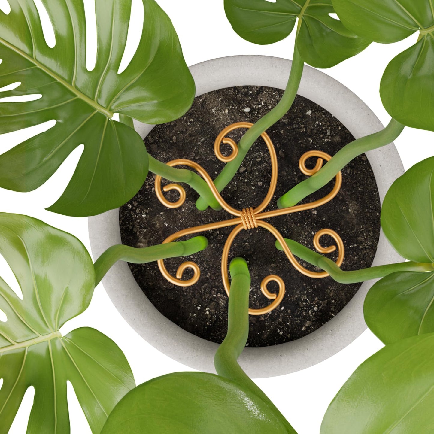 Yeomant 4PCS Iron Monstera Support, Uniquely Designed Plant Support Stakes for Indoor Plants, Stable Plant Stakes and Supports, Turtle Shell Bamboo Clamp Set for Thriving Growth