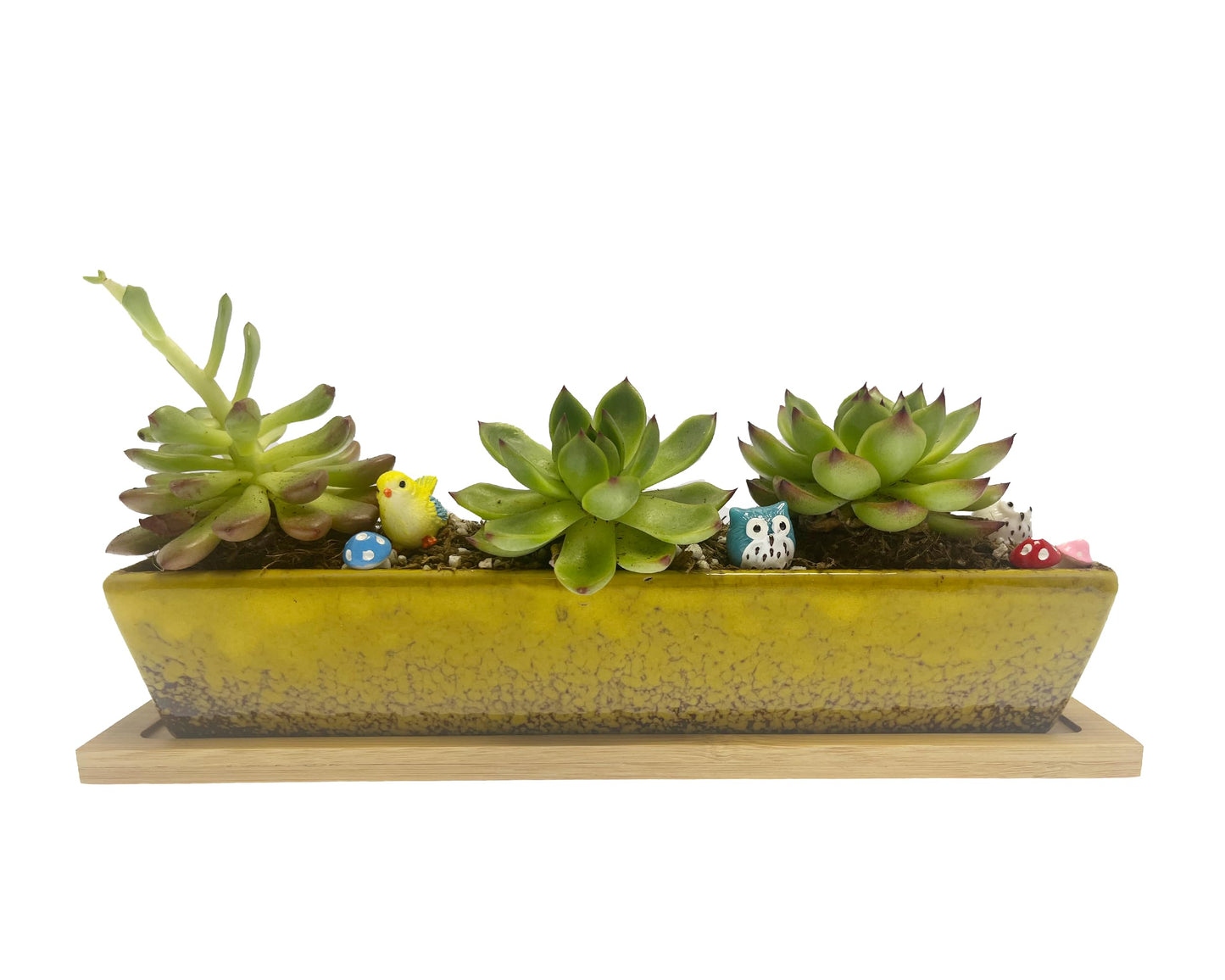 9.8inch yellow long rectangle Ceramic Succulent Planter Pot,one set of Mini Flower Plant Container with Bamboo Saucers. Product size:9.8 x2.35x1.77 inch,not include the plant. (Yellow)