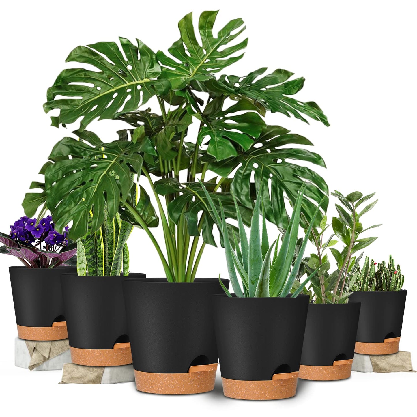 GARDIFE Plant Pots 8/7/6.5/6/5.5/5 Inch Self Watering Planters with Drainage Hole, Plastic Flower Pots, Nursery Planting Pot for All House Plants, African Violet, Flowers, and Cactus,Black