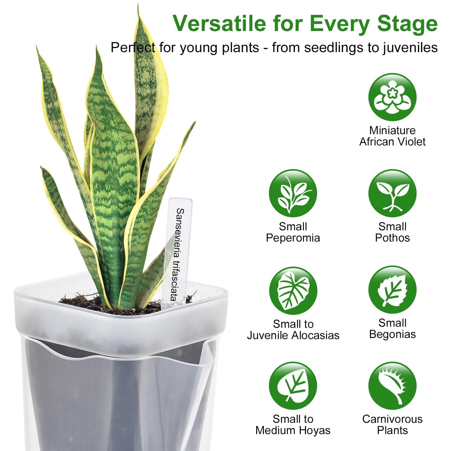 6PCS Mini Self Watering Pots for Indoor Plants, 2.5" Small Clear Planter with Wicks & Water Level Indicator, Plastic Automatic-Watering Pot for African Violet, Succulent, Alocasia, Hoya, Plant Label