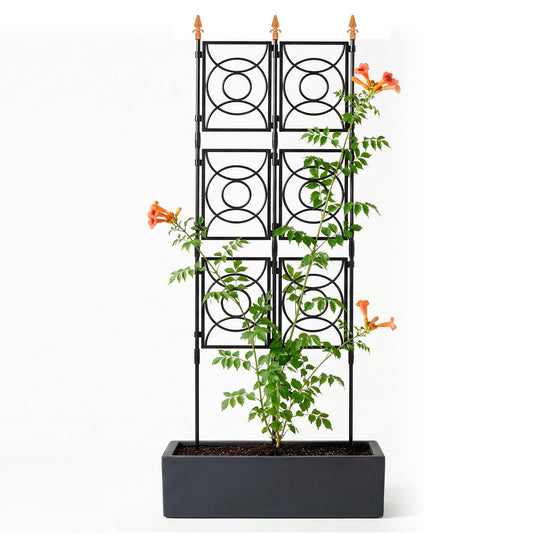 Trellis for Climbing Plants Outdoor, 24 Rifny Tall Garden Trellis Flower Rose Cucumber Trellis for Vines Pea Support, Wall Large Plant Trellis Fence with Plastic Screen Frame, 2 x 6.2 FT