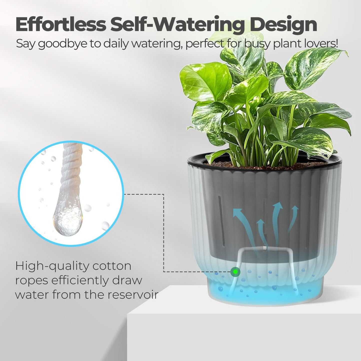 T4U 4.5 Inch Plant Pots Self Watering, 6 Pack African Violet Pots, Small Plant Pots for Plants, Small Indoor Plant Pot, Self Watering Planter for African Violet, Succulents (6 Pack 4.5" Pots, White)
