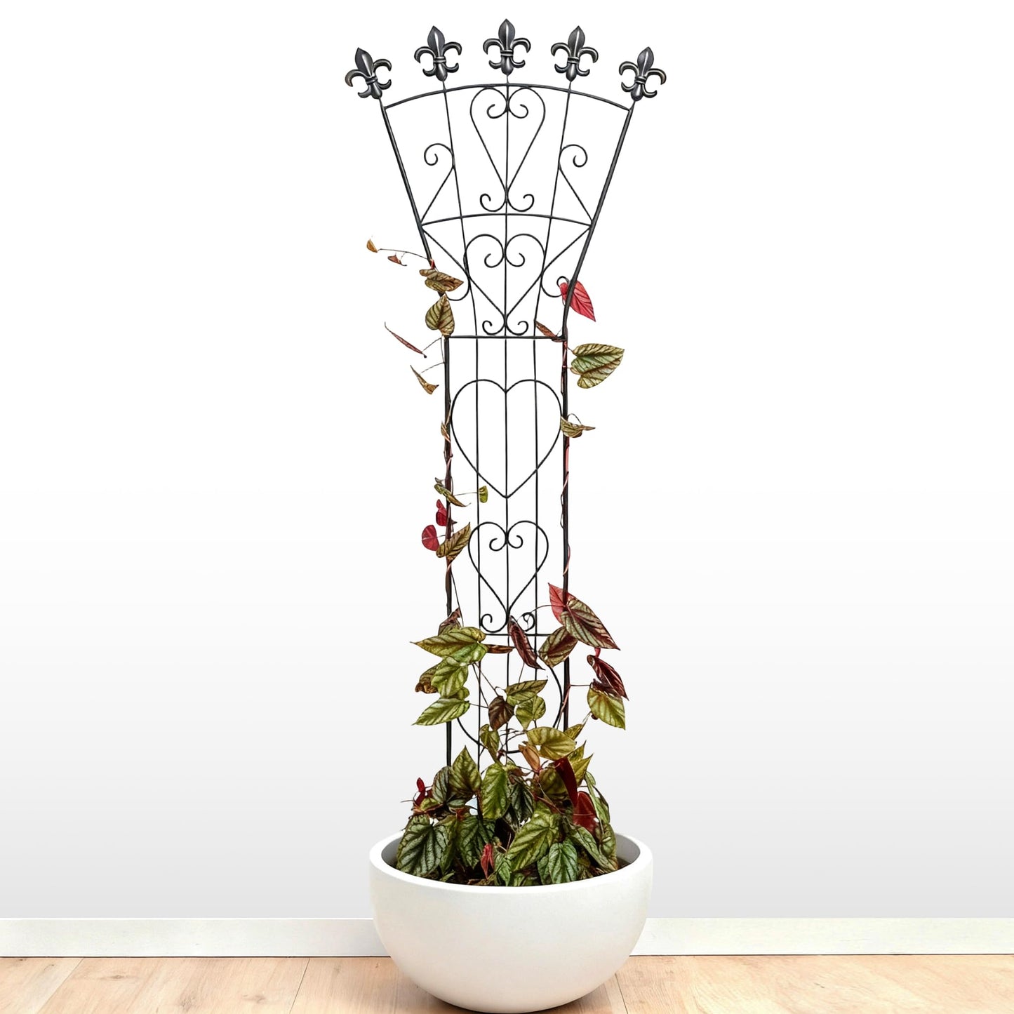GOOOXIM Indoor Climbing Plant Trellis 46x15.5in Heavy Duty Durable Iron Decorative Support for Monstera, Pothos, and Houseplants Ideal for Vertical Growth in Garden, Balcony, and Indoor Spaces