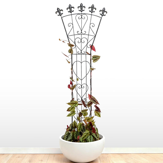 GOOOXIM Indoor Climbing Plant Trellis 46x15.5in Heavy Duty Durable Iron Decorative Support for Monstera, Pothos, and Houseplants Ideal for Vertical Growth in Garden, Balcony, and Indoor Spaces