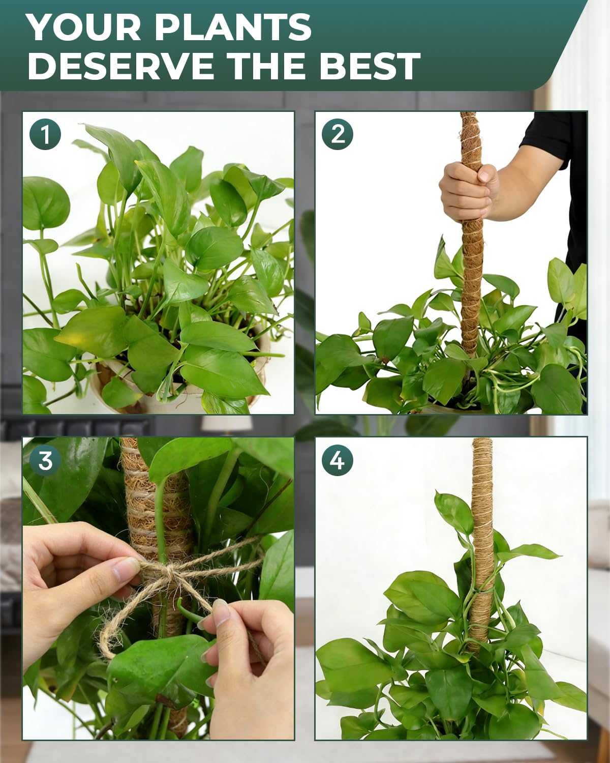 6 Pcs Moss Poles for Climbing Plants, 4 Pcs 39" & 2 Pcs 11" Tall Bendable Coco Coir Trellis Stakes - Indoor Plant Support for Monstera, Pothos- Handmade Moss Sticks for Potted Houseplants