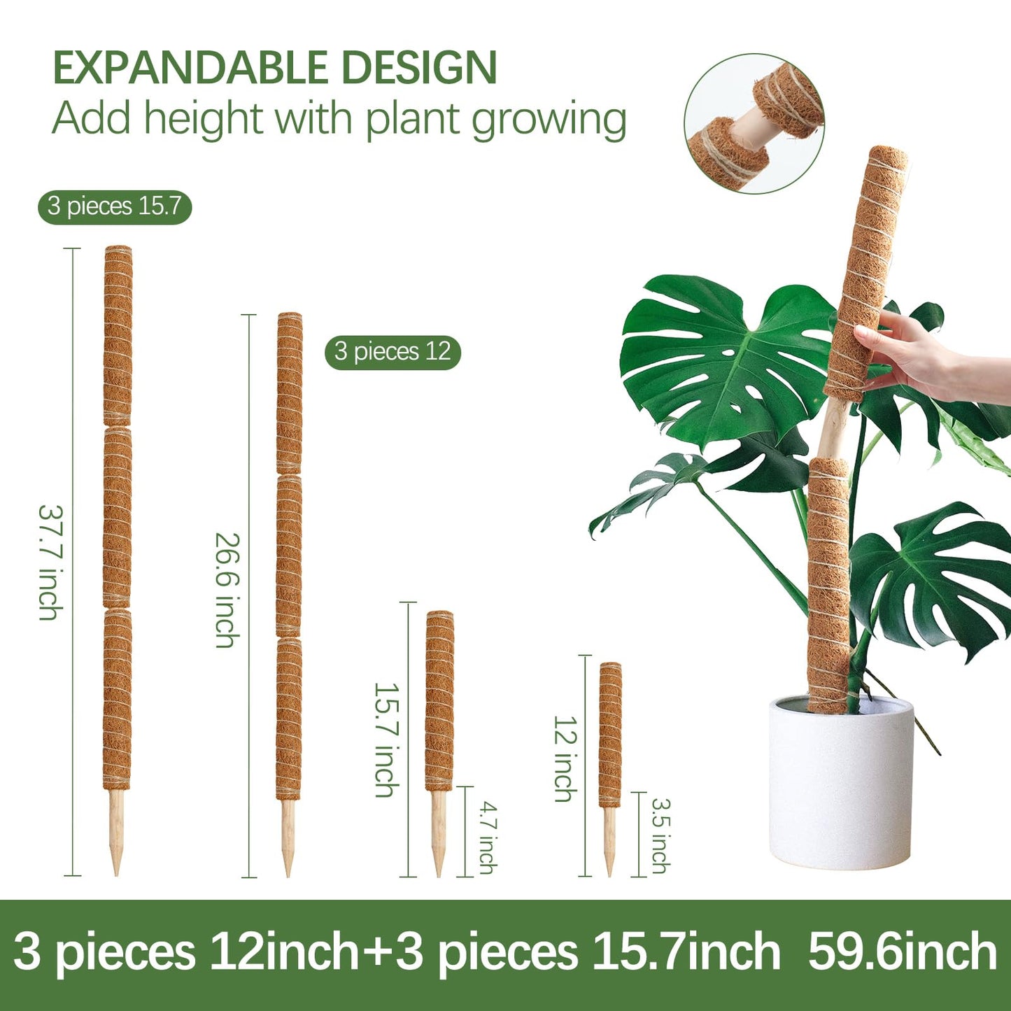 Joyhalo Moss Pole Monstera Plant Support, 6 Pcs 15.7 and 12 Inch Moss Stick for Potted Plants, Plant Pole with 65 Feet Garden Twist Tie