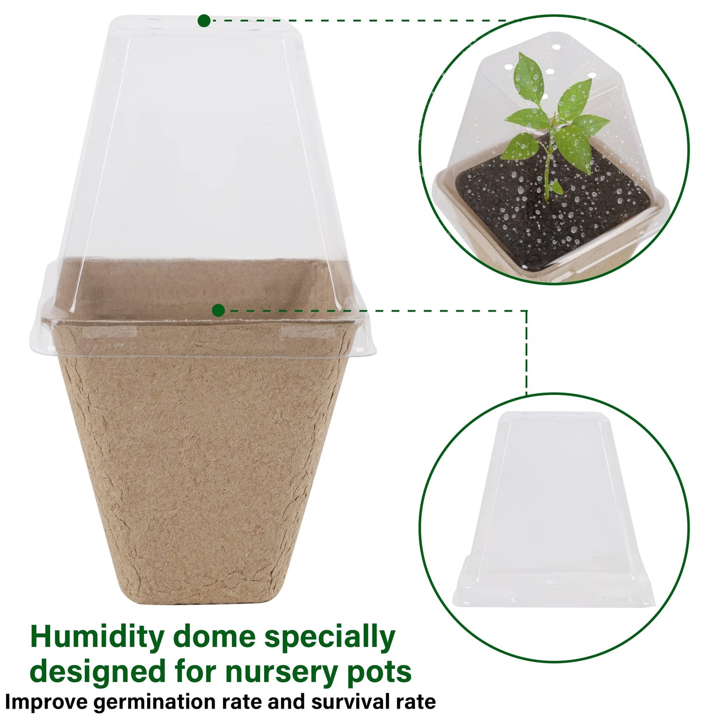 winemana Seed Starter Peat Pots,Biodegradable with Humidity Dome and Labels For Plant Nursery, Seedlings Planting For Indoor Outdoor Garden (Square)36 Set