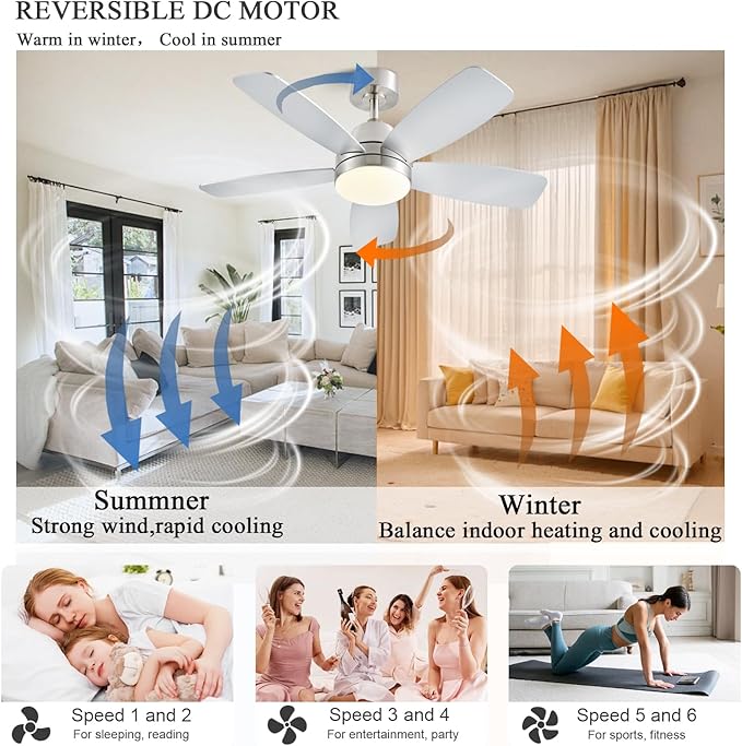 Ceiling Fans with Lights