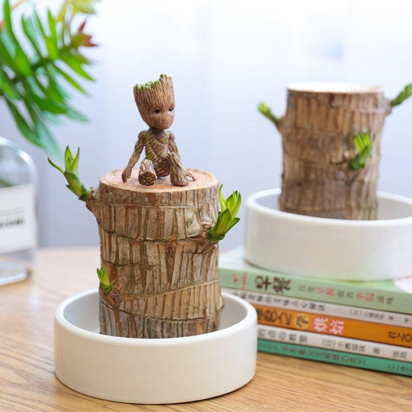 DOBOKS Lucky Wooden hydroponic Indoor Office Desk Surface Panel Green Plant Bonsai GRUIT Desktop Green Plant