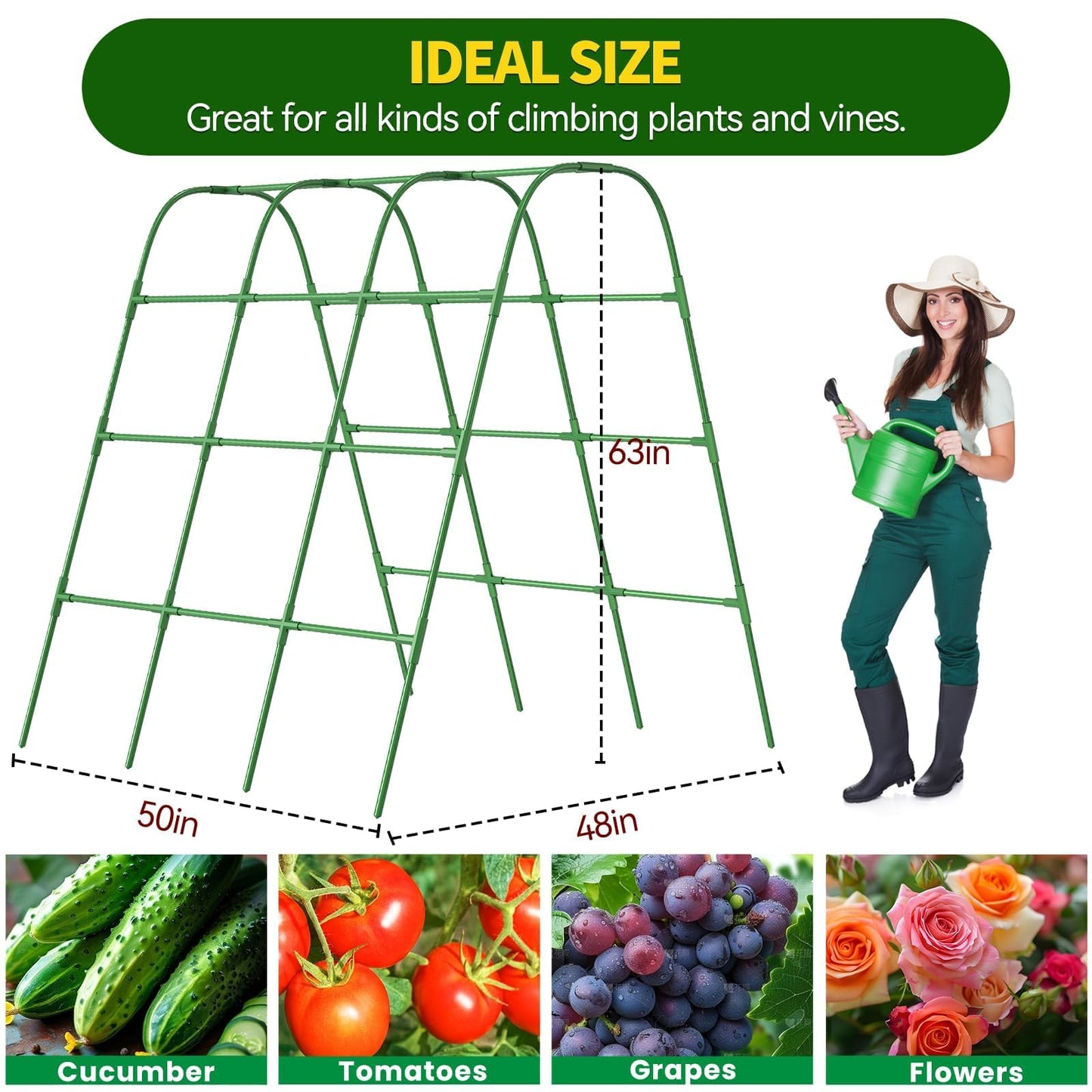 63" Tall Cucumber Trellis for Raised Garden Bed U-Frame Arch Tunnel Trellis Metal Tomato Cage Plant Support Stand for Peas,Bean,Grapes,Flowers,Vines Climbing Plants Outdoor