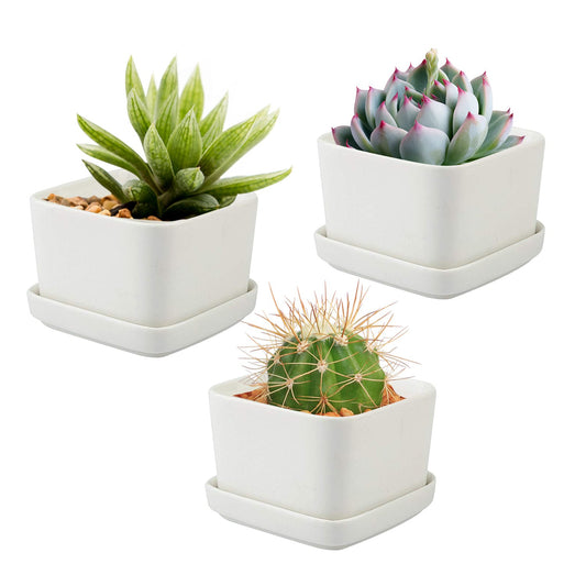 Ceramic Pots for Cactus, Ceramic Pots for Succulents - Set of 3 White Planters with Draining Tray: 2.5" x 2.5" x 2" - Minimalist Decor - for Indoor or Outdoor Use - Plants not Included