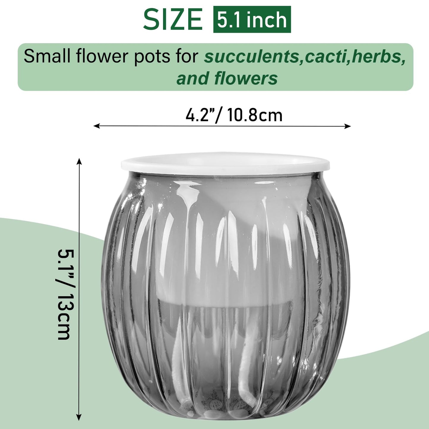 Qhzxcvlk 2 Pack Self Watering Planters Indoor Flower Pots, 5.1 Inch Clear African Violet Pots for Indoor Plants for Flower, Succulents, Plant Pots with Wicking Rope, Modern Decor(Black)