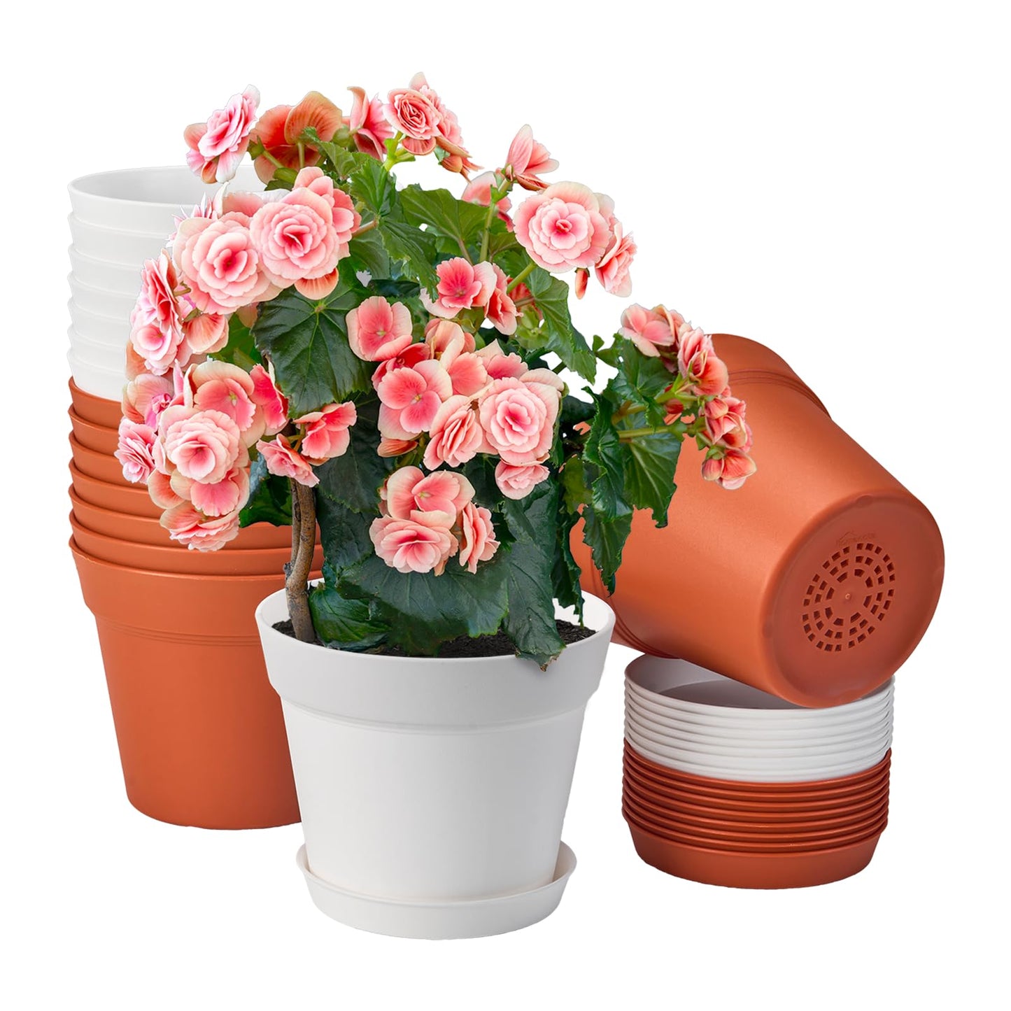 homenote Plant Pots,6 Inch Flower Pots for Plants Plastic Planters for Indoor with Multiple Drainage Holes and Trays, for All Home Garden Flowers Succulents,Outdoor(White&Red,16 Pack)