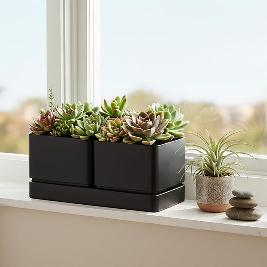 D'vine Dev Indoor Herb Garden Planter Set, Plastic Windowsill Plant Pots with Drainage and Saucer, Indoor Succulent Cactus Vegetable Pot for Balcony, Office, Garden, Black, Set of 2, 76-Q-B-2