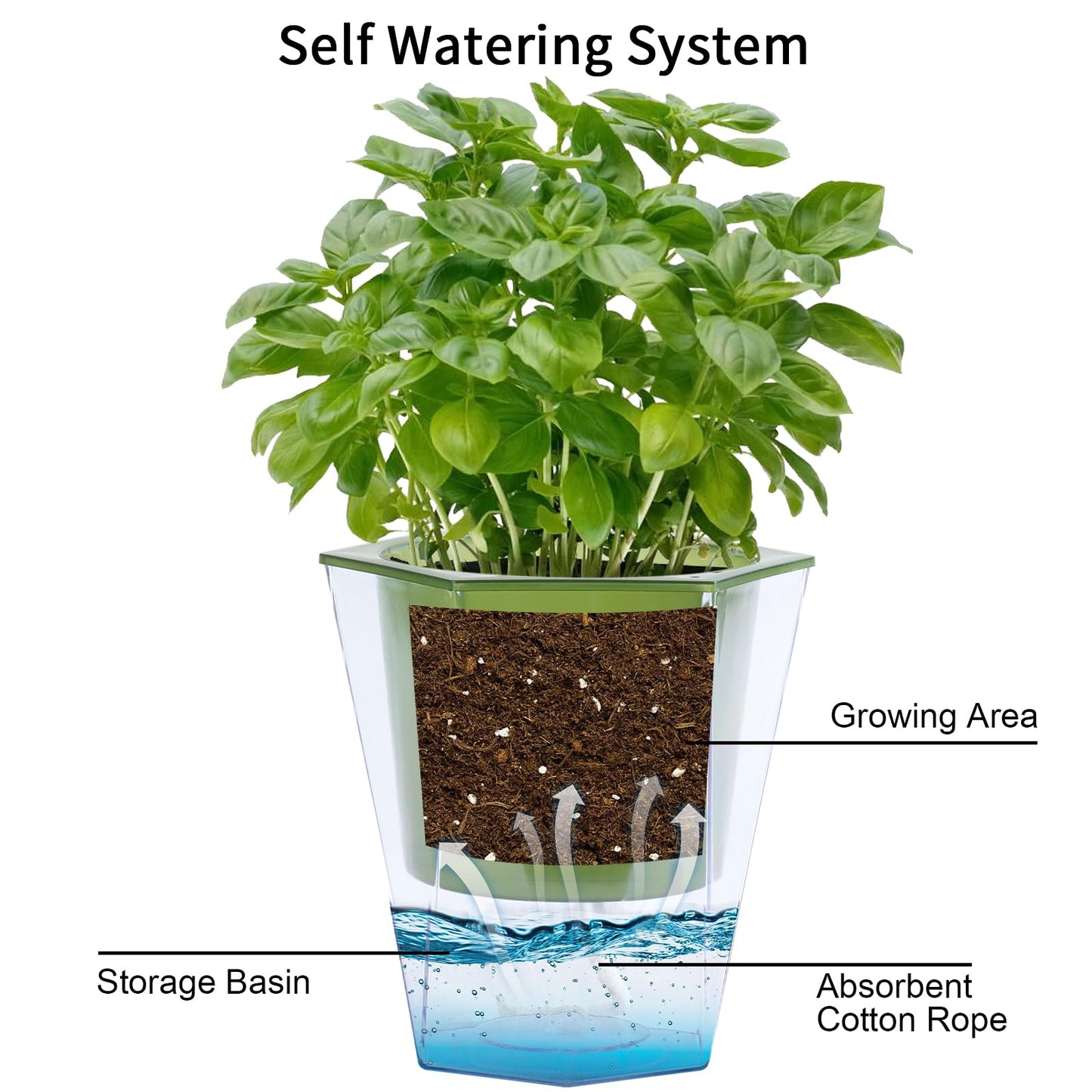 Oliz Self Watering Planter 5 Pcs, 4.5 Inch Flower Plant Pot with Transparent Inner Pot, Gardening Flowerpot with Watering Can, Indoor Self Watering Planter Pot for Herbs, Flowers (Green)
