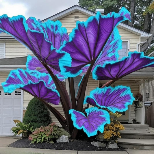 EDRHTJG Giant Leaf Foliage-Elephant Ear-Alocasia for Outdoor Garden Patio Decor Bold Contrast Colors (6)
