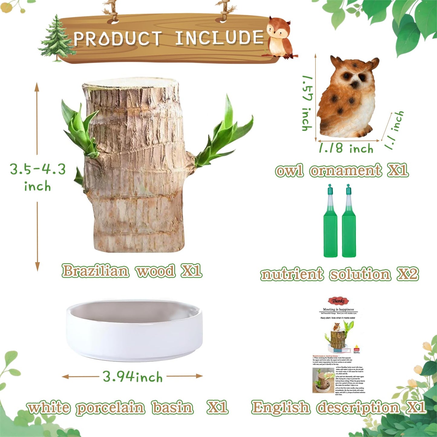 Brazilian Lucky Wood Plant,Fortune Brazil Wood Potted Plant with Owl Figurine,Mini Brazil Decoration, Desk Decor for Home & Office Desktop Planter