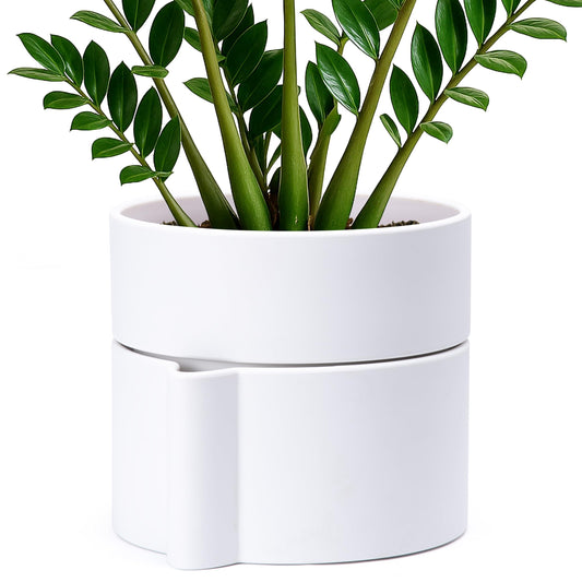 Phoenix Vine 8 Inch Self-Watering Planter Pot with Terracotta Insert, Deep Water Reservoir, and Ceramic-Alike BPA-Free Plastic Planter Pot for Plant, Modern Planter for Houseplants, White, 53-A-T-1