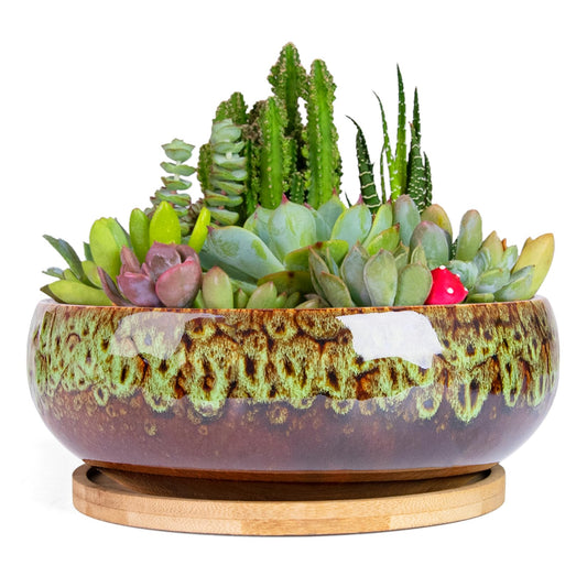 ARTKETTY Succulent Pots - 7.5 Inch Large Plant Pot with Bamboo Tray, Shallow Bonsai Pots with Drainage, Ceramic Planter for Indoor Plants, Cactus, Home Office Desk Decor