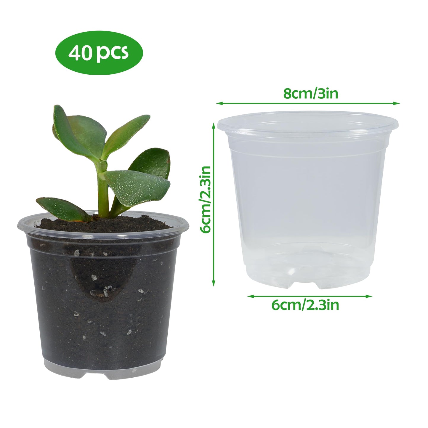 TNTIWQ 40 Pack 3 Inch Clear Nursery Pots with Drainage Plant Pots for Plants Transparent Potting Containers for Plants Seeding Starter Pot (Clear, 3 Inch 40 Pcs)