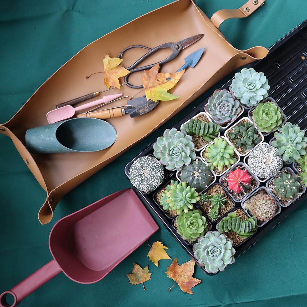 BangQiao 120 Pack 2.40 Inch Small Clear Plastic Square Nursery and Seedling Pot, Deep Transplant Seed Starter Planter with Drain Hole for Germination, Herb, Succulent