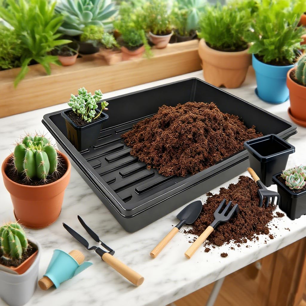 Gyfofix 2 Inch Square Nursery Pots, 50 Pack (25 Clear + 25 Black) Seedling Starter Pots, Plastic Plant Pots with Drainage Holes, for Seed Germination, Root View, and Light Blocking
