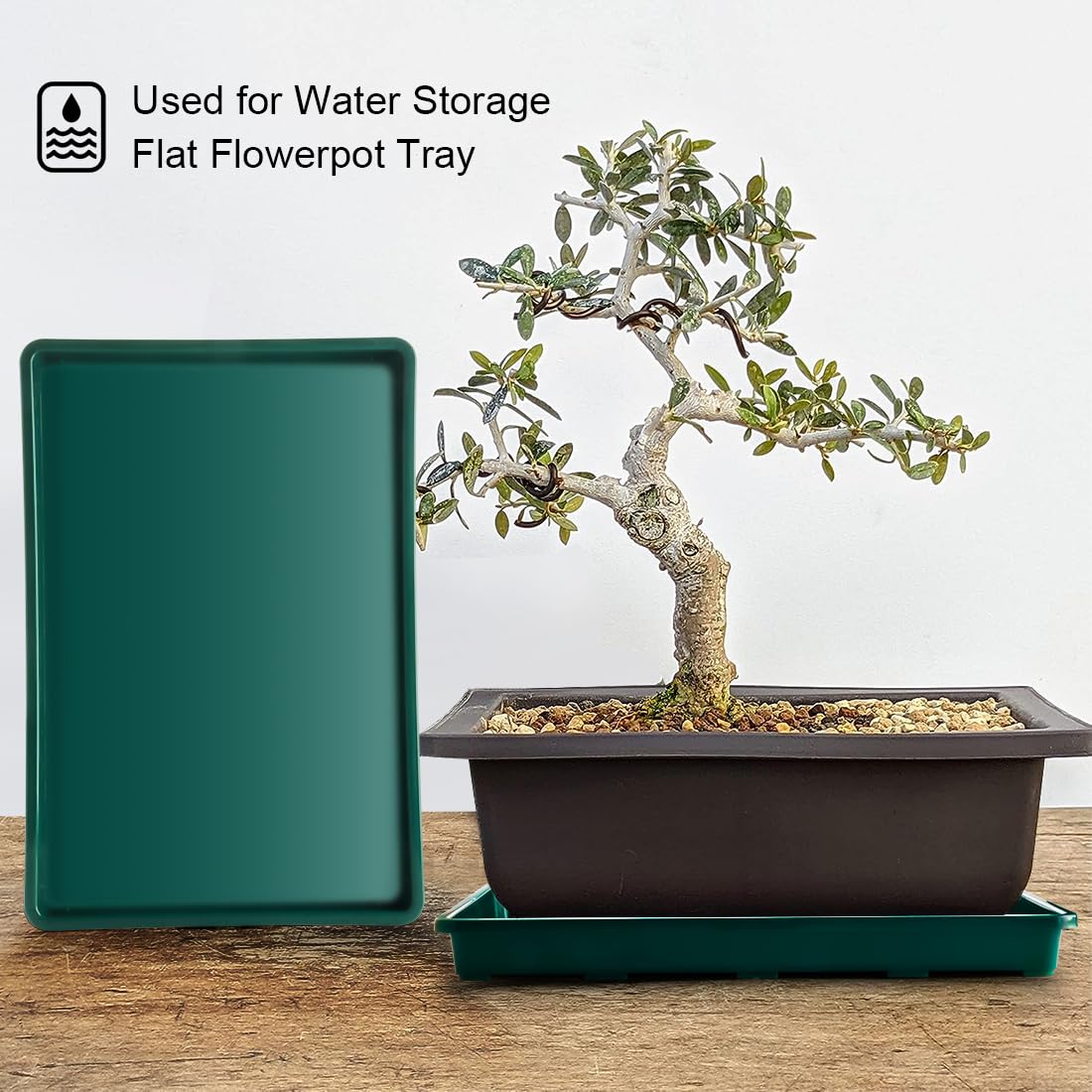 RooTrimmer 5 Pack Seed Starter Trays (17"x11"x2"), Plastic Flat Nursery Pots Trays, Durable Carrying Seedling Starter Tray, Reusable Tray for Planting and Collecting Drainage Water (Green)