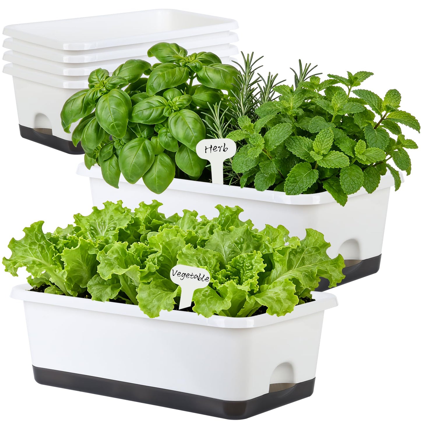 Window Box Planter 6 Pcs, 18 Inches Rectangle Flower Pots with Drainage Holes and Trays, Vegetable Planters for Windowsill Patio Garden Balcony Home Porch Yard Indoor Outdoor (White, 18*10*6 inch)