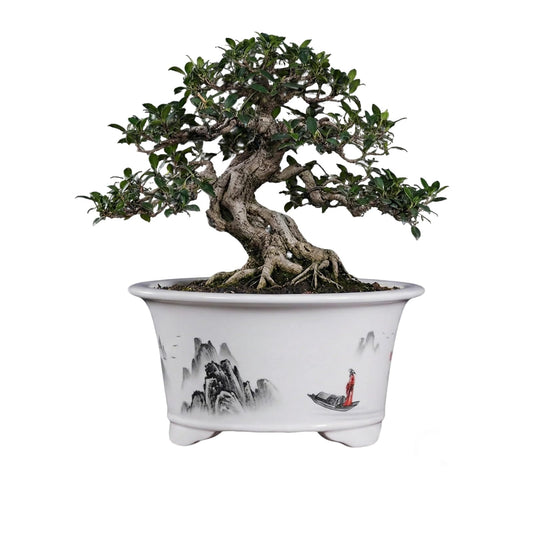 KyoYi Ceramic Planters & Bonsai Pots with Drainage, 6.69 Inch Round Blue and White Plant Pots for Succulents & Bonsai Tree, Vintage Indoor-Outdoor Small Plant Pot for Home Office Decor Gift