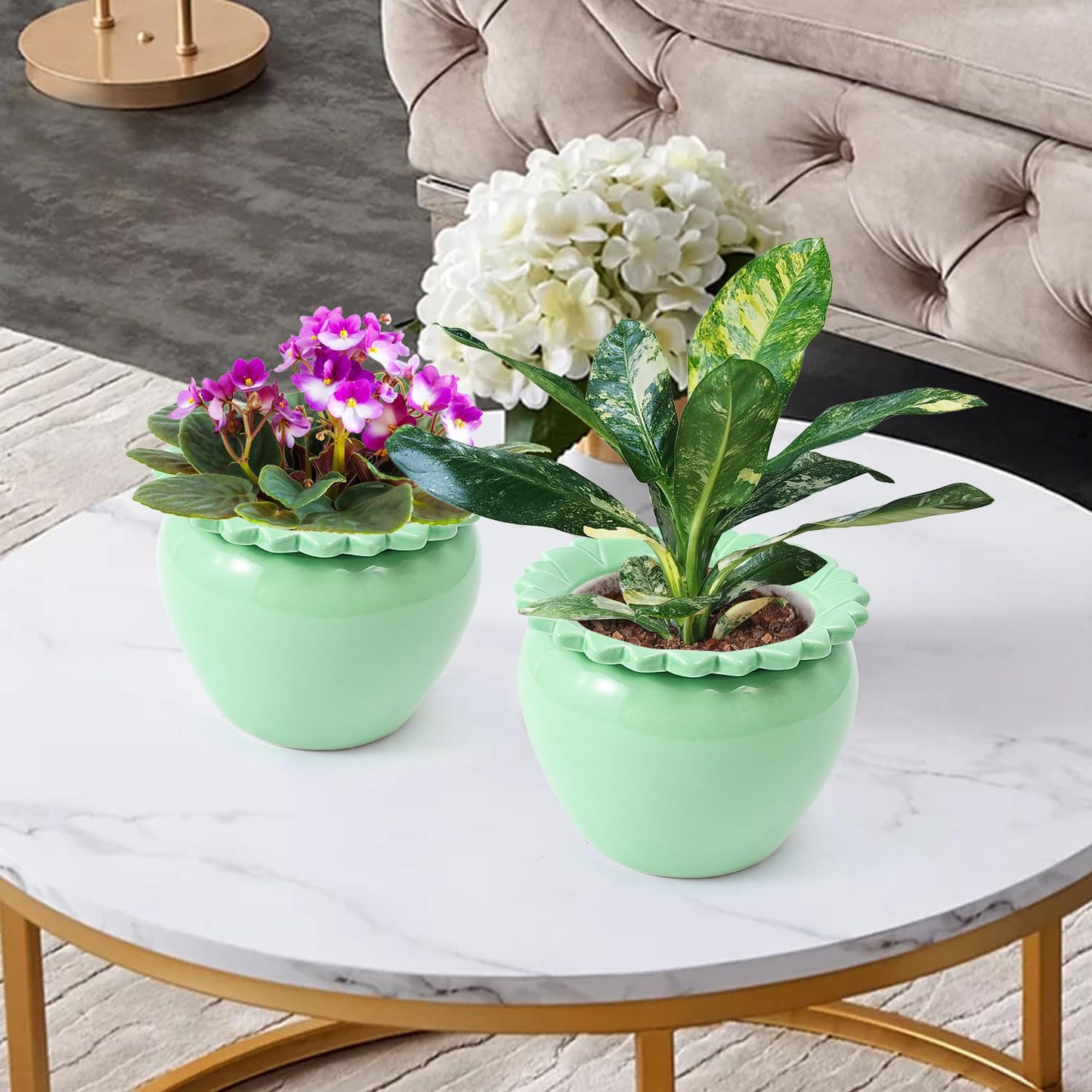 Lovely Ran African Violet Flower Pot Ceramic Self Watering Planter Pot 6.5 * 4.6 * 4 inch Simple Plant Self Watering Pot Green Indoor Flowers High Absorption Herbaceous Flower Pots Modern