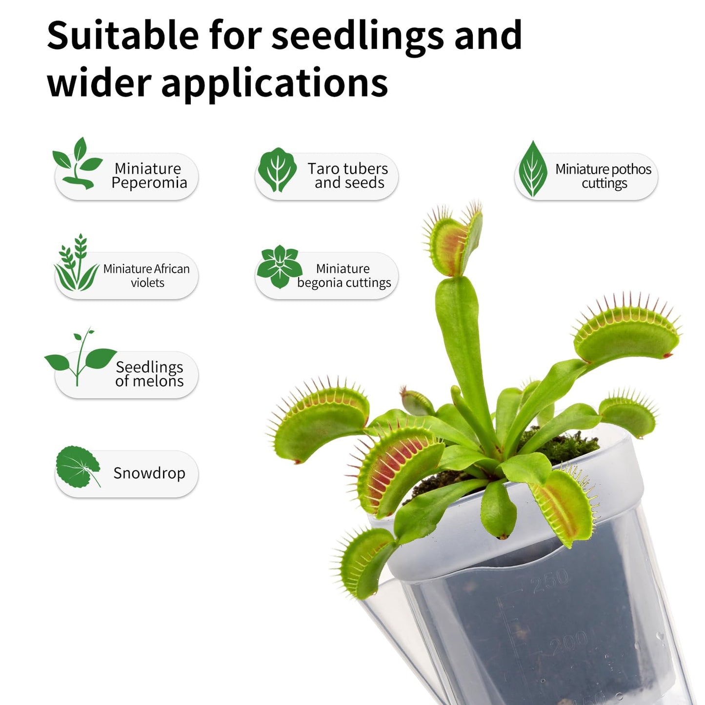 10 Pack 2.5 Inch Small Self Watering Pots for Indoor Plants Mini Clear Plastic Planters, Self Watering Pot for Propagation Cuttings Seedlings, Herbs, Succulents, Pothos Spider Plants