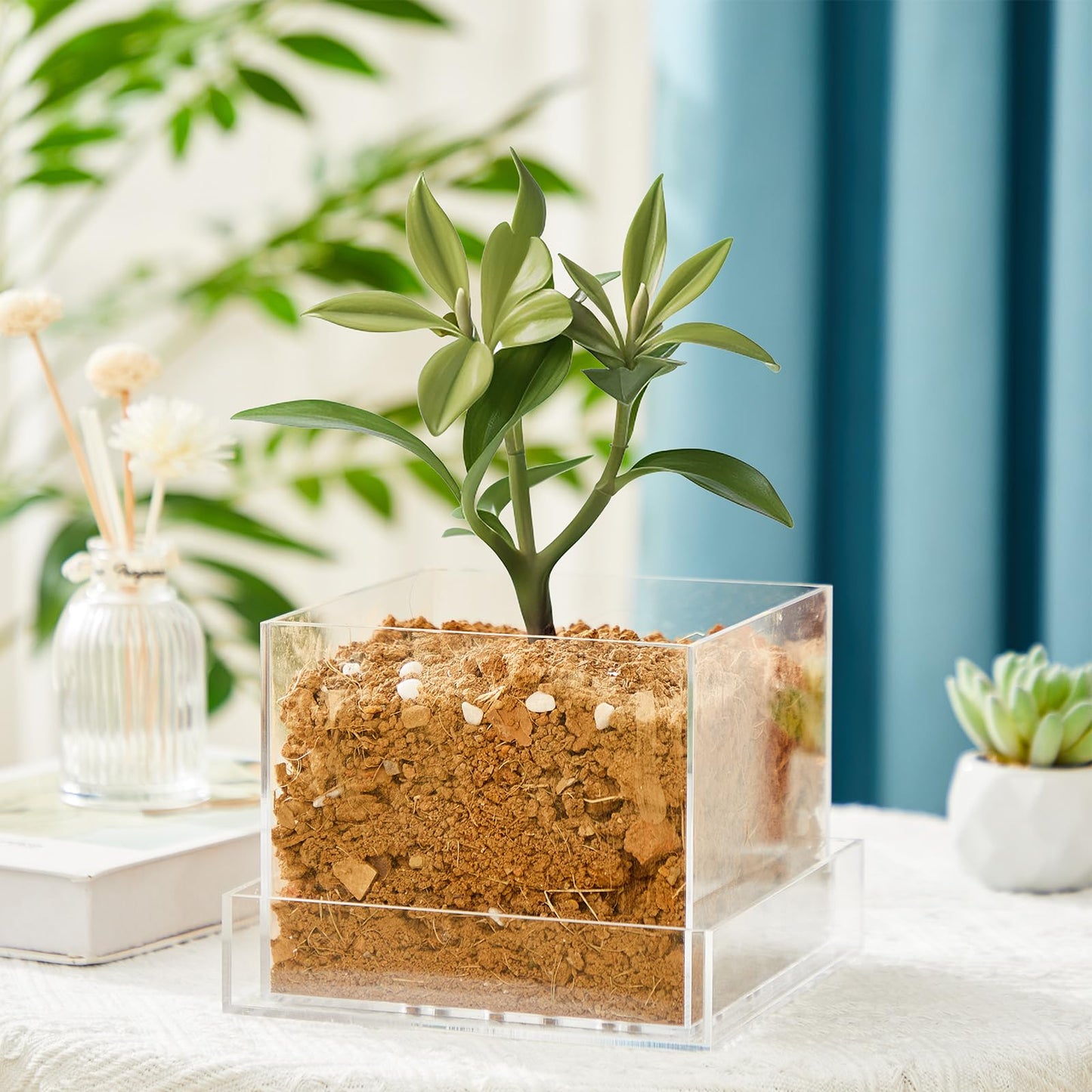 Sunnychicc Clear Plant Nursery Pots Acrylic Orchid Pots with Drainage Holes and Tray Transparent Planter for Indoor Plants, Succulents, Herb, Flowers and Cactus Decorative(8 Inches,Square)