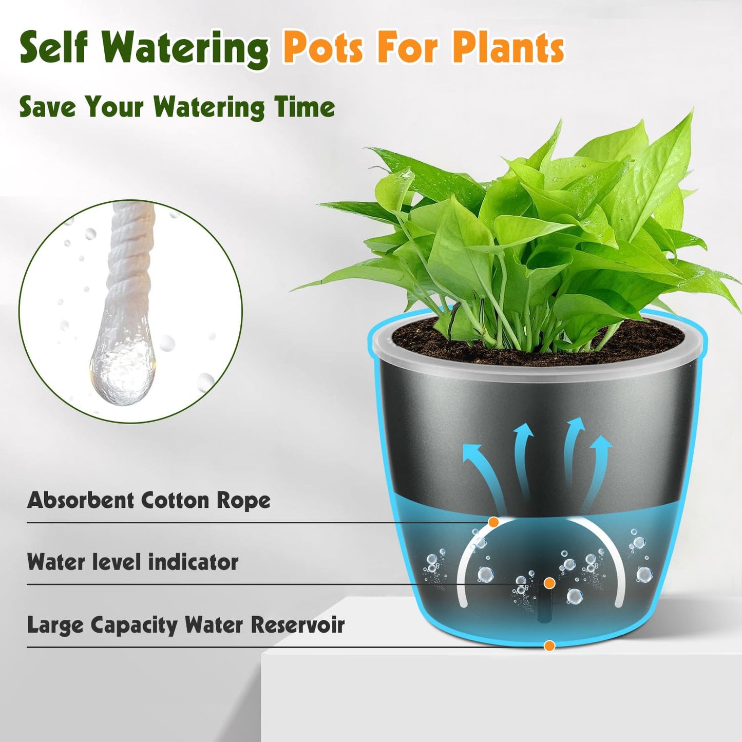 KvyusFlourish Self Watering Pots for Indoor Plants, 6-Pack 6.7'' Self Watering Planter with Drainage Holes, Small African Violet Pots with Water Indicator, Clear Wick Orchid Pot, Grey