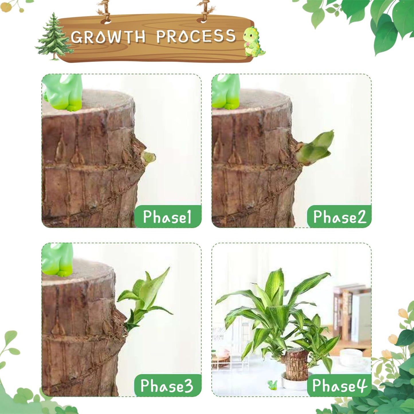 JJWYLTKB Brazilian Lucky Wood Plant,Fortune Brazil Wood Potted Plant with Dinosaur Figurine,Mini Brazil Decoration, Desk Decor for Home & Office Desktop Planter