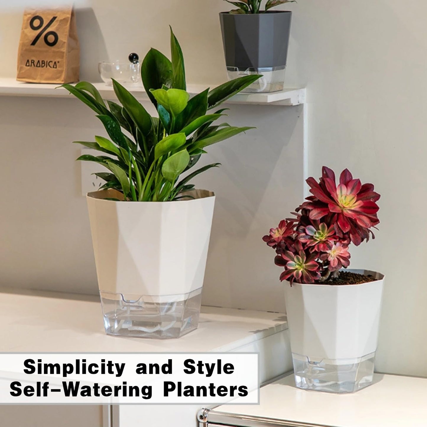BovcTrraann 3 Packs Self Watering Plant Pots, Plastic Flower Pots with Drainage Hole and Saucer, Self Watering Planters for Indoor Outdoor Garden Plants, African Violet, Herbs (White, 6.7")