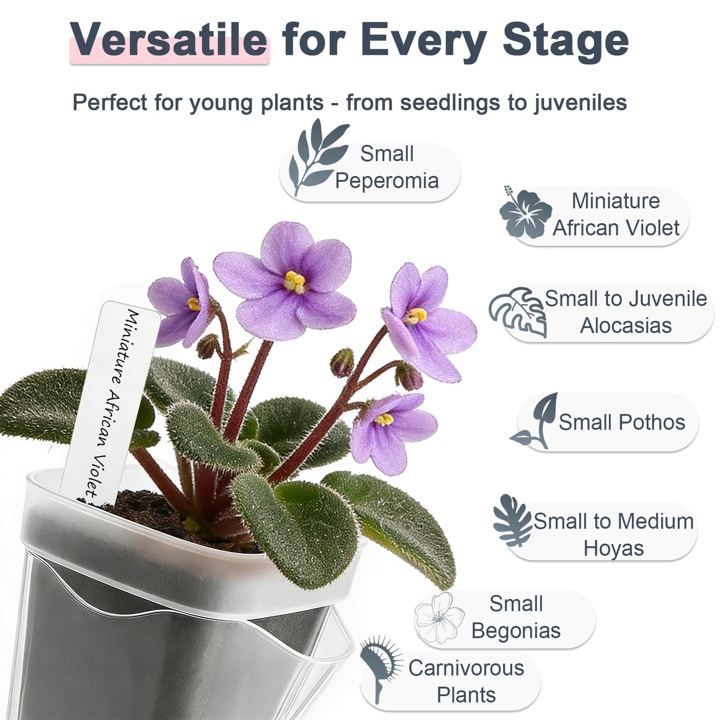 15 Pack 2.5" Self Watering Pots for Indoor Plants,Small Clear Plastic Planters with Water Level Indicator & Drainage Holes for Alocasia Propagation, African Violets, Seedlings, Cuttings and Succulents