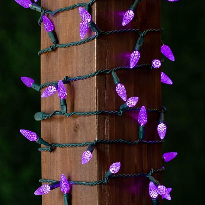 Novelty Lights 24FT 70 LED C6 Christmas String Lights, Outdoor Tree Commercial Grade Permanent Decorations (Purple)