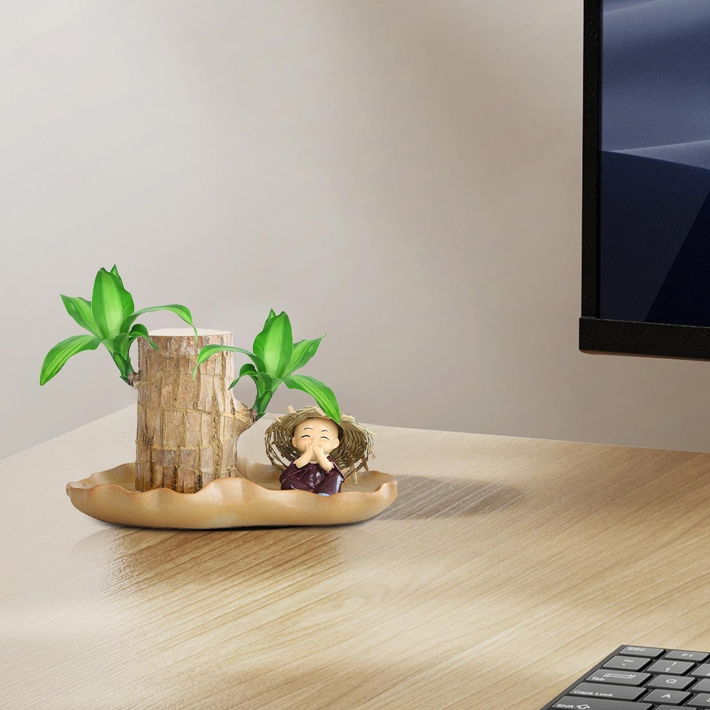 Brazilian Wood Plant, Brazilian Lucky Wood Plant with Pot, Brazilian Wood Hydroponic Plant for Purifying Indoor Air, Brazilian Wood Tree Stump, Brazil Lucky Wood Plant for Indoor Offic-e Desktop Decor