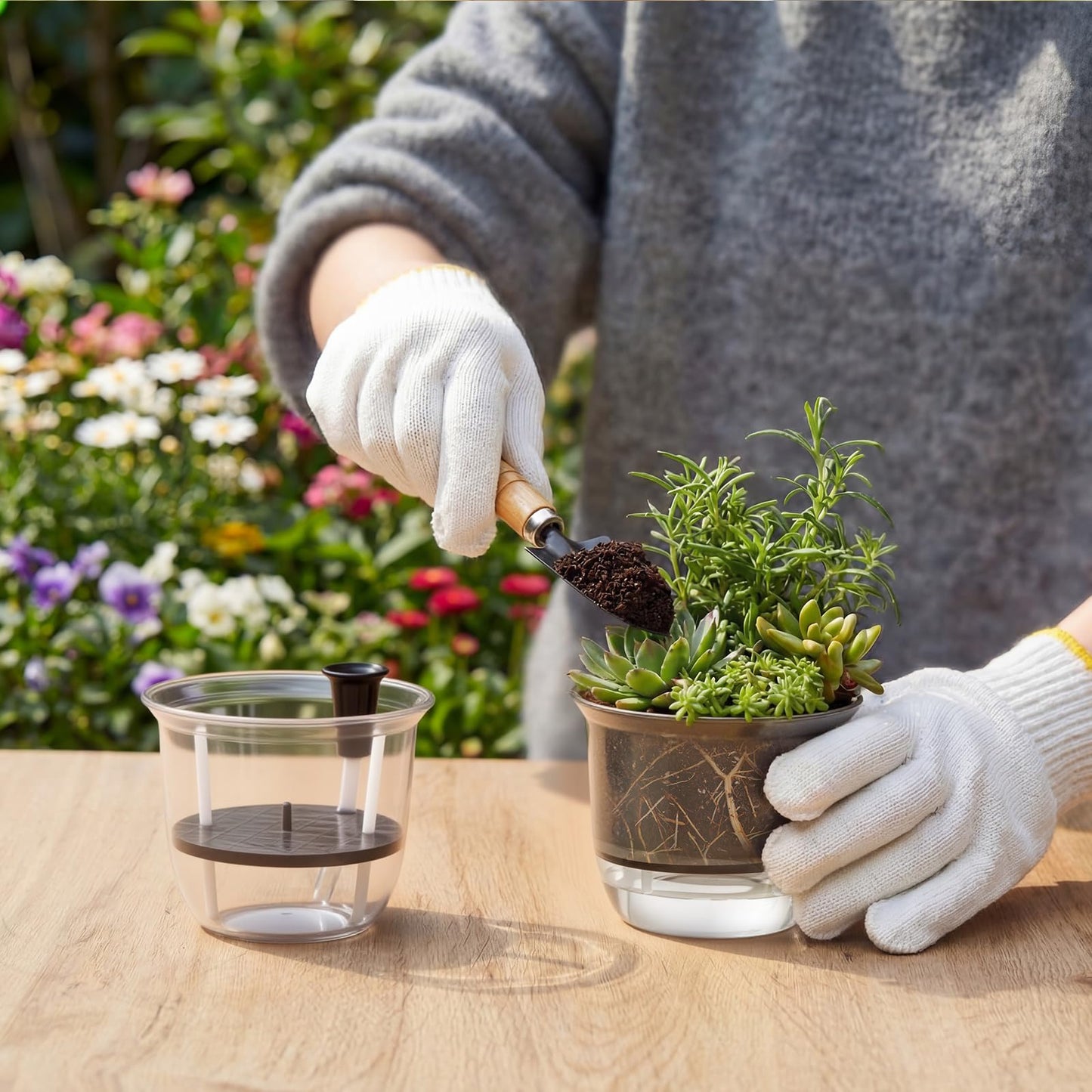 Ferrochef 6 Pcs Clear Self Watering Pots for Indoor Outdoor Plants Flowers, 4 Inch Self Watering Planters with Reservoir, Drainage Hole and Absorbent Cotton Rope