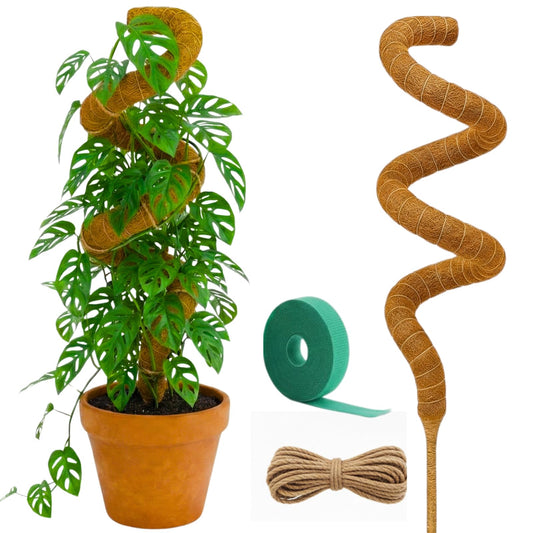 Auraville Moss Pole Monstera Plant Support | 48 Inch Plant Stakes for Indoor Plants | Coconut Palm Fiber Moss Poles for Climbing Plants | Handmade Plant Sticks Support Tall Monstera, Pothos & More